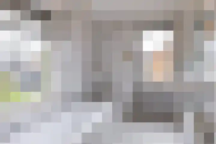 Torenes 15 Borger thumbnail 34