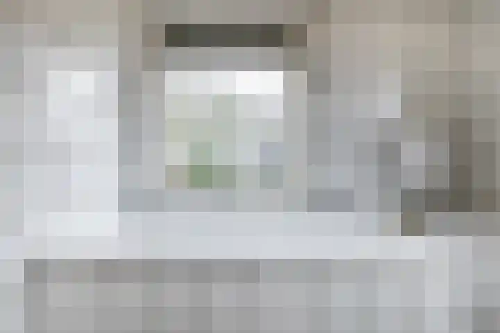 Torenes 15 Borger thumbnail 35