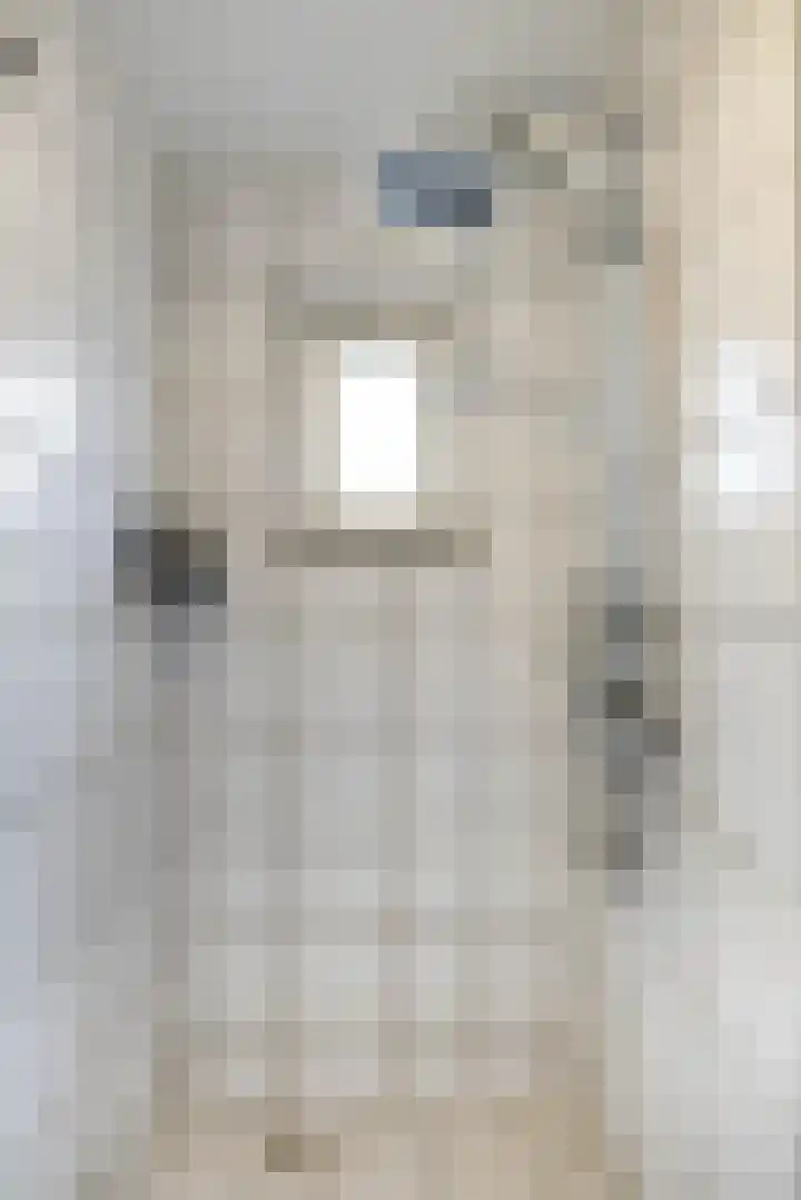 Torenes 15 Borger thumbnail 36