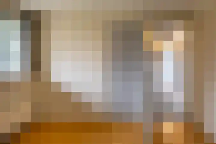 Torenes 15 Borger thumbnail 37