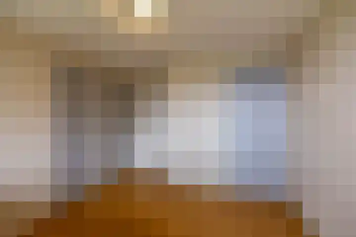 Torenes 15 Borger thumbnail 39