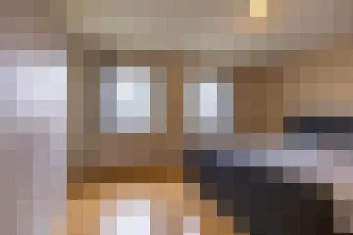 Torenes 15 Borger thumbnail 4