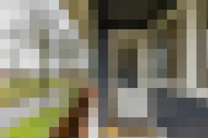 Torenes 15 Borger thumbnail 40