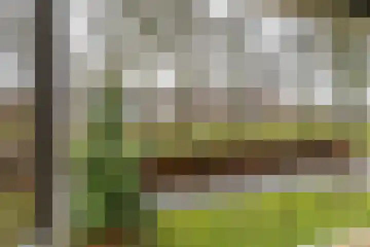 Torenes 15 Borger thumbnail 42