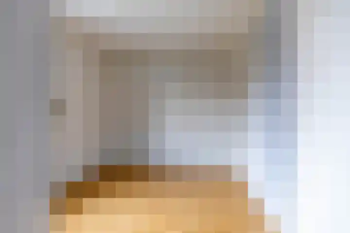 Torenes 15 Borger thumbnail 44