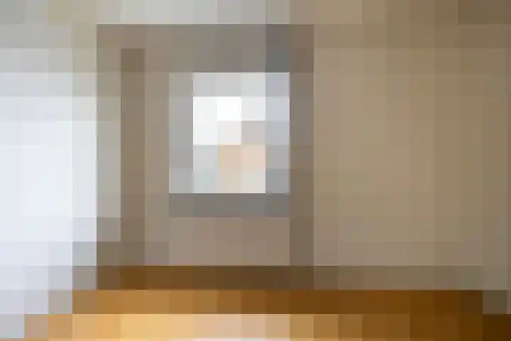 Torenes 15 Borger thumbnail 45