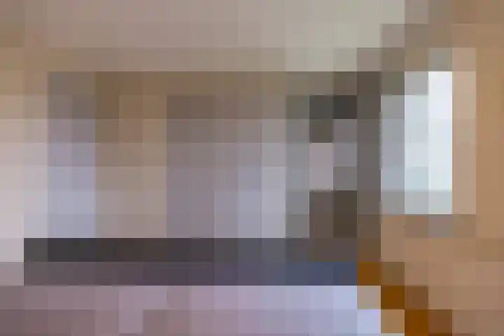 Torenes 15 Borger thumbnail 48