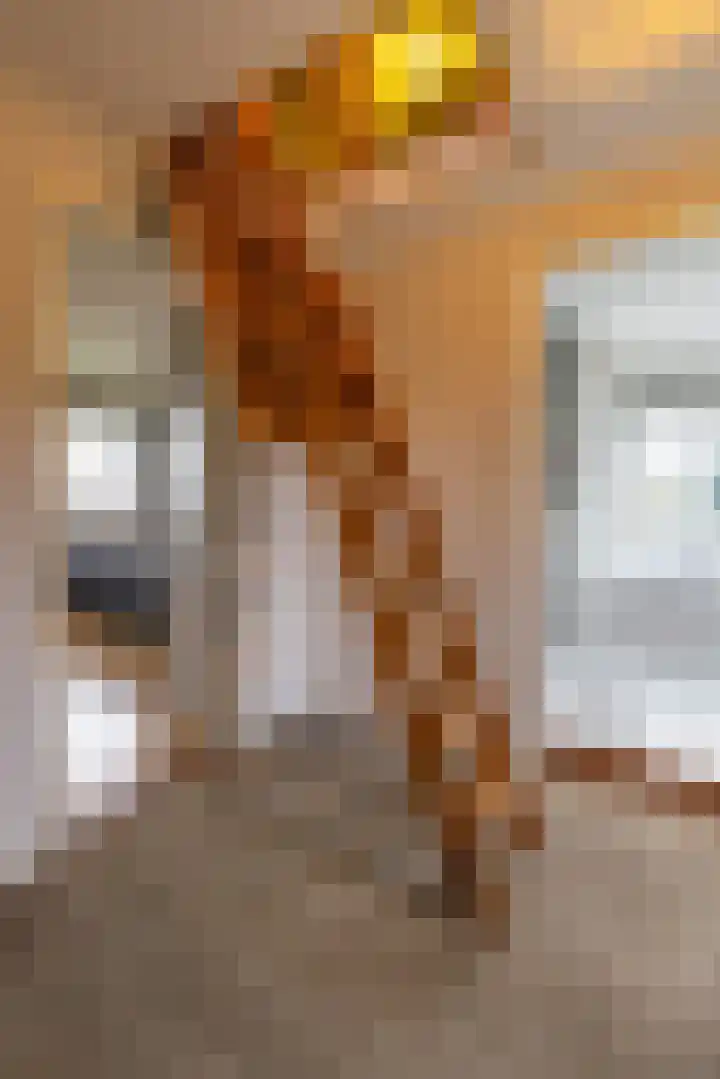 Torenes 15 Borger thumbnail 50