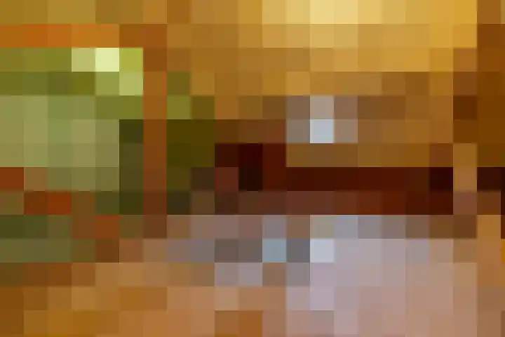 Torenes 15 Borger thumbnail 51