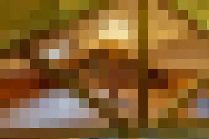 Torenes 15 Borger thumbnail 53