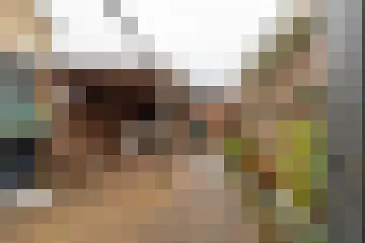 Torenes 15 Borger thumbnail 57