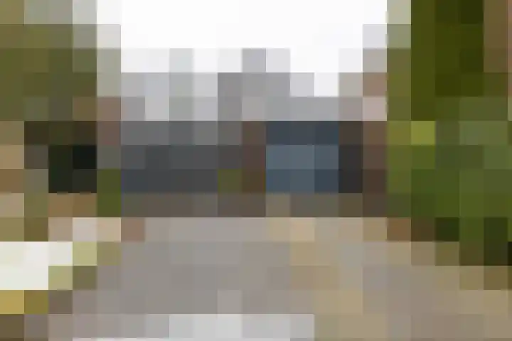 Torenes 15 Borger thumbnail 58