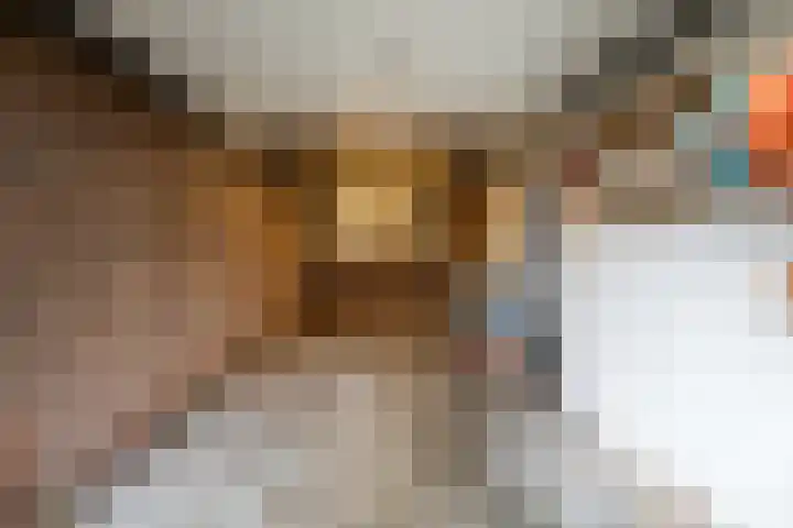 Torenes 15 Borger thumbnail 59