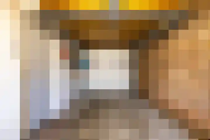 Torenes 15 Borger thumbnail 60