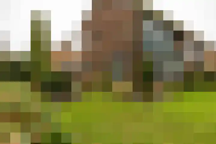 Torenes 15 Borger thumbnail 62