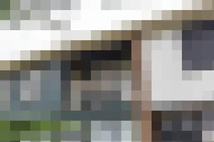 Torenes 15 Borger thumbnail 63