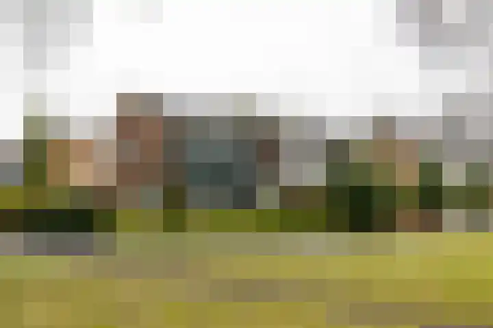 Torenes 15 Borger thumbnail 7