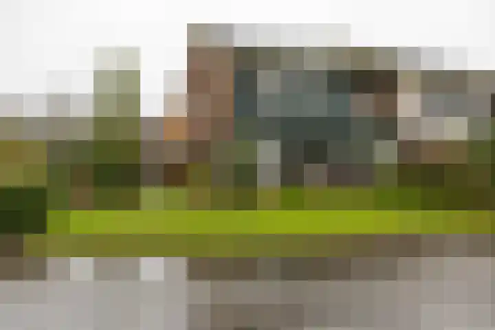 Torenes 15 Borger thumbnail 8