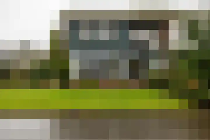Torenes 15 Borger thumbnail 9