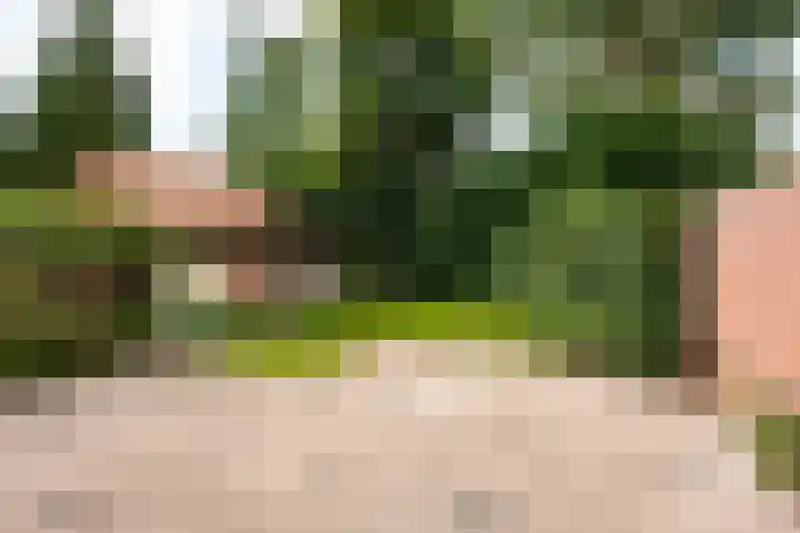 Torenlaan 46 Baarn thumbnail 18