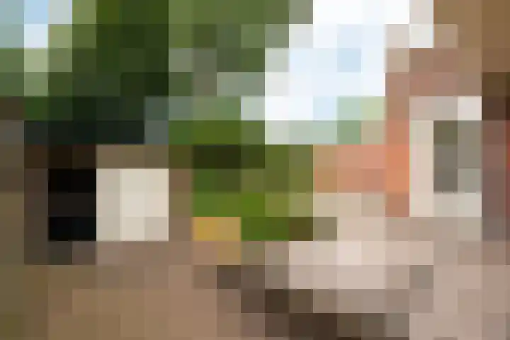 Torenlaan 46 Baarn thumbnail 19