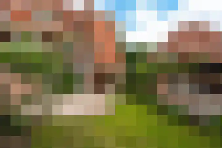 Torenlaan 46 Baarn thumbnail 21