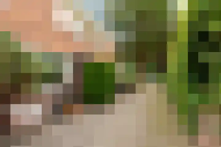 Torenlaan 46 Baarn thumbnail 47
