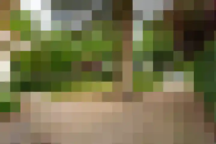 Torenlaan 46 Baarn thumbnail 48