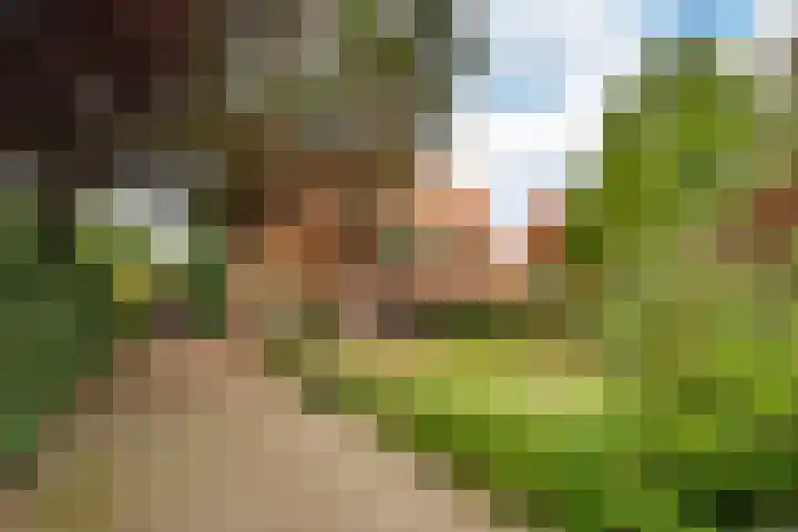 Torenlaan 46 Baarn thumbnail 49