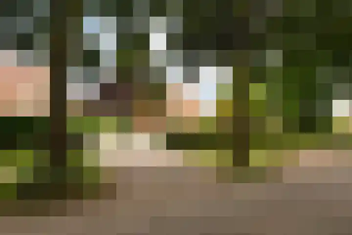 Torenlaan 46 Baarn thumbnail 51