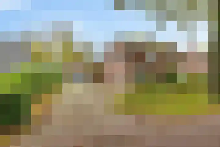 Torenlaan 8 Vledder