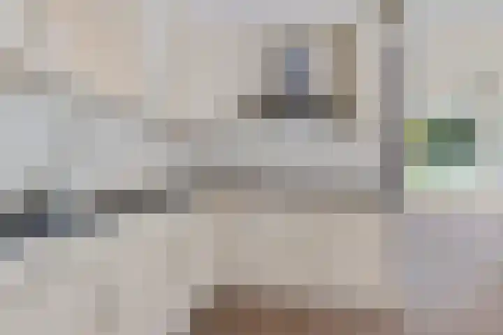 Torenlaan 8 Vledder thumbnail 14