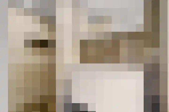 Torenlaan 8 Vledder thumbnail 20