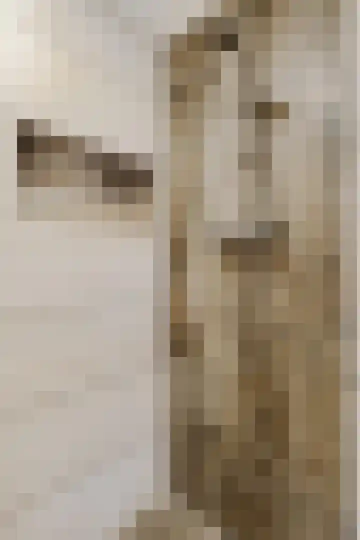 Torenlaan 8 Vledder thumbnail 21