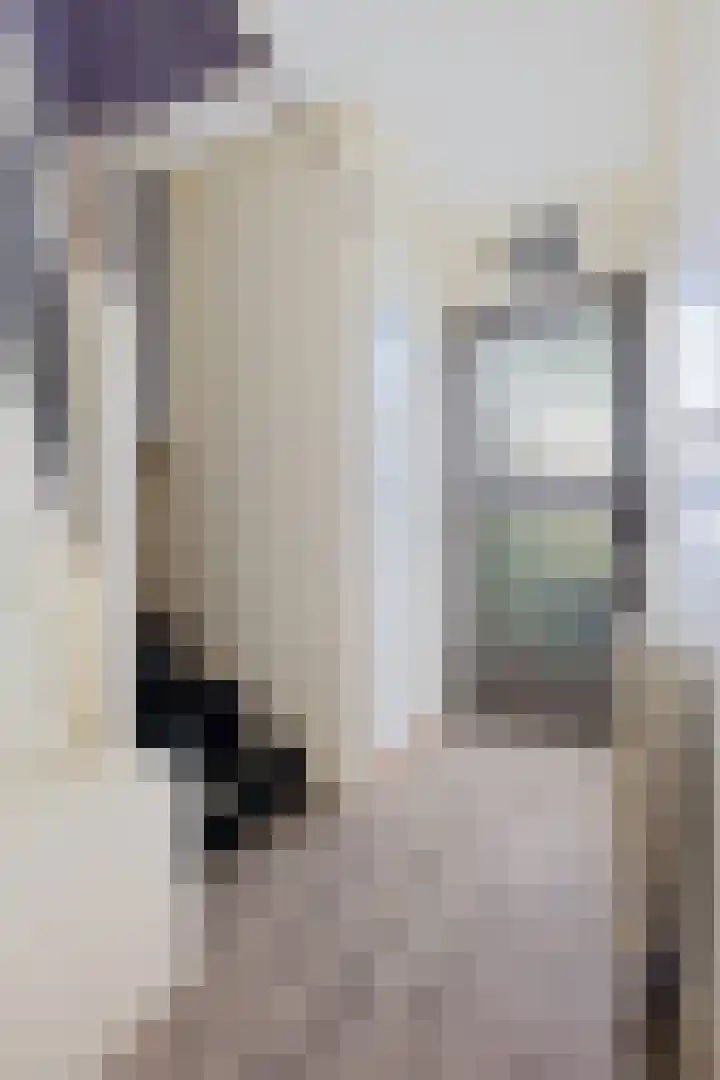 Torenlaan 8 Vledder thumbnail 23