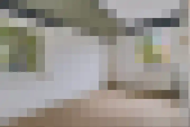 Torenlaan 8 Vledder thumbnail 27