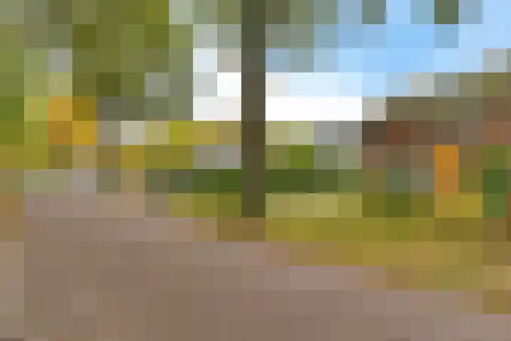Torenlaan 8 Vledder thumbnail 8