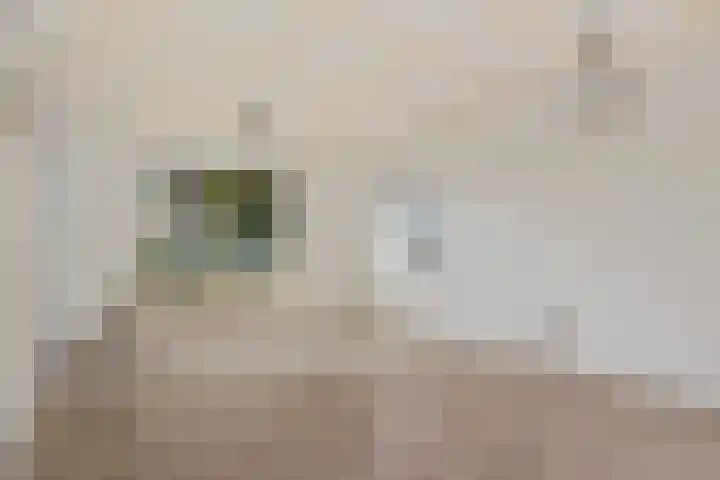 Torenlaan 8 Vledder thumbnail 9