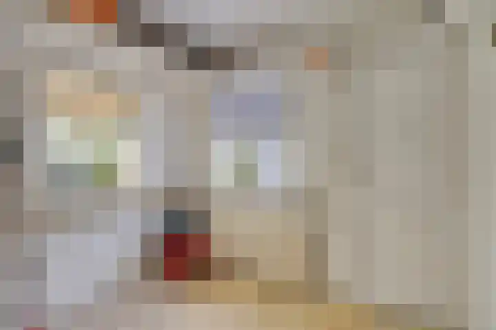 Torenstraat 122 Drunen thumbnail 25