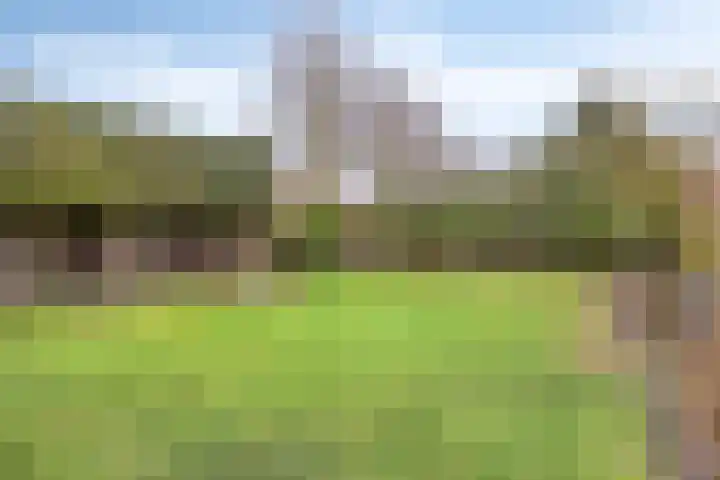 Torenstraat 122 Drunen thumbnail 35