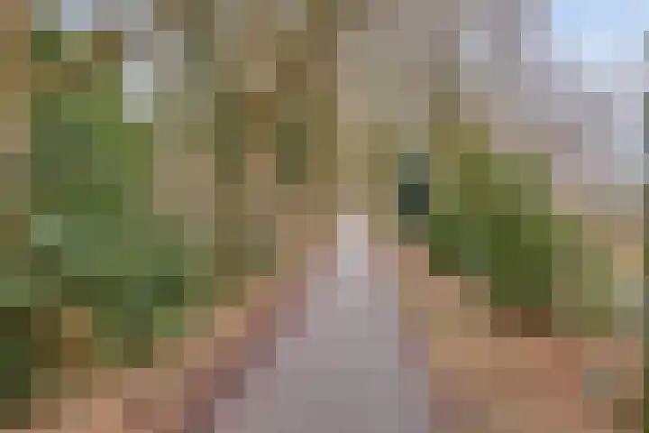Torenstraat 122 Drunen thumbnail 41