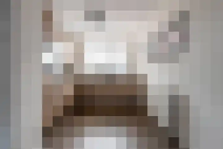 Torenvalk 124 Emmen thumbnail 10