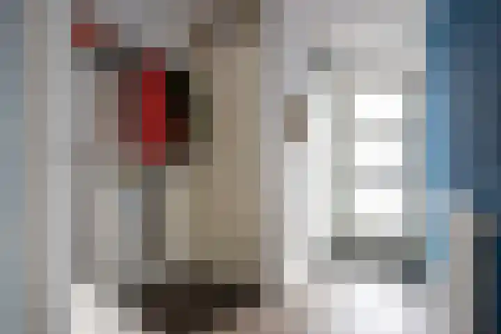 Torenvalk 124 Emmen thumbnail 11