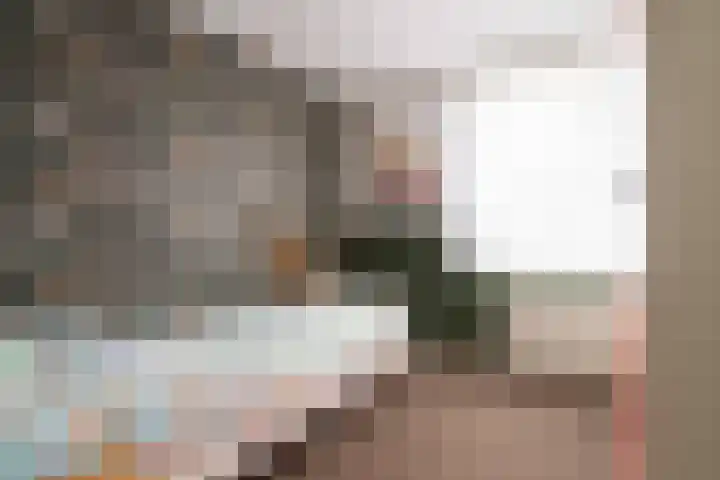 Torenvalk 124 Emmen thumbnail 16