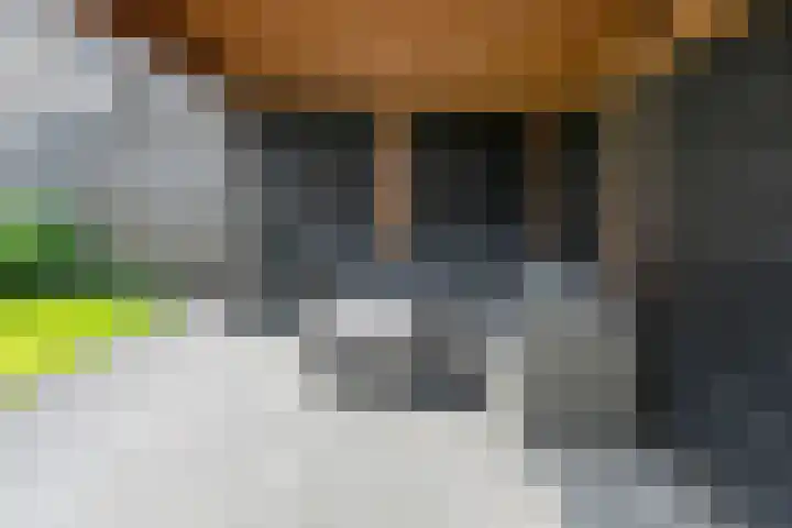 Torenvalk 124 Emmen thumbnail 23