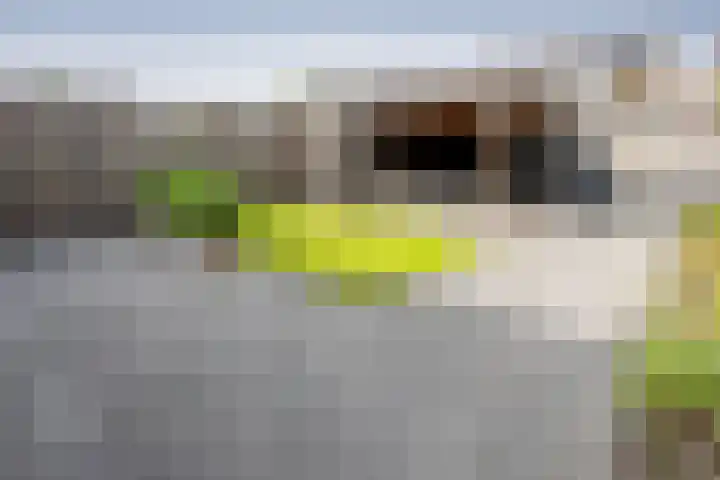 Torenvalk 124 Emmen thumbnail 24