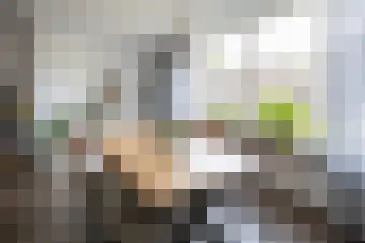 Torenvalk 124 Emmen thumbnail 9