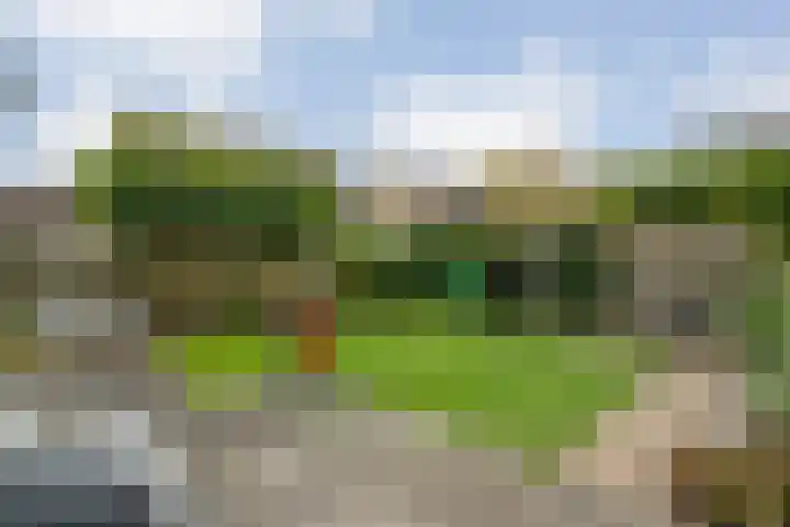 Torenvalk 127 Emmen thumbnail 30