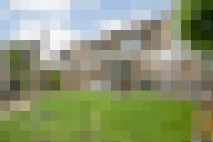 Torenvalk 127 Emmen thumbnail 31