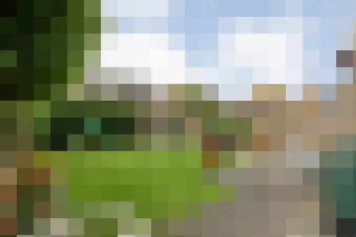 Torenvalk 127 Emmen thumbnail 33